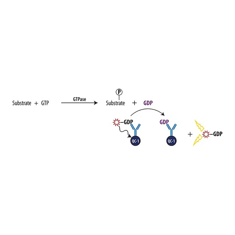 Merck Transcreener(R) GDP FI Assay