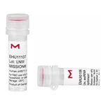 Merck MISSION(R) esiRNA