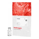 Thermo Fisher Scientific FluoSpheres Polystyrene Microspheres, 10 μm, red fluorescent (580/605), for blood flow determination