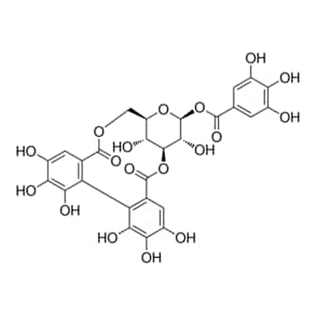Merck CORILAGIN FROM PHYLLANTHUS URINARIA