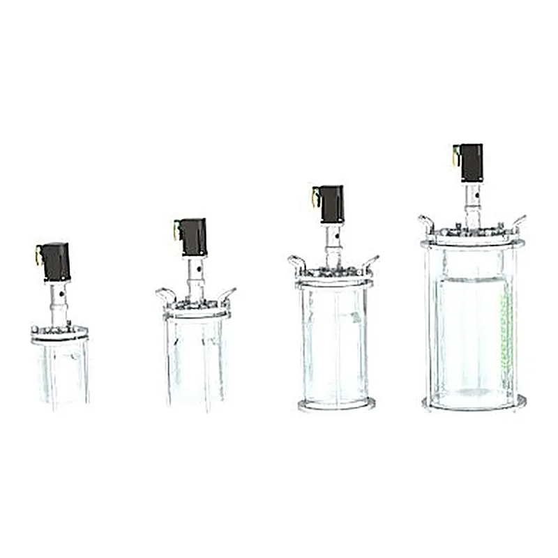 Bioreactor and Fermenter Vessels
