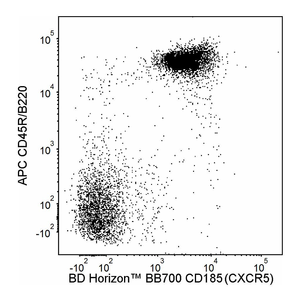 BD BB700 Rat Anti-Mouse CD185 (CXCR5)