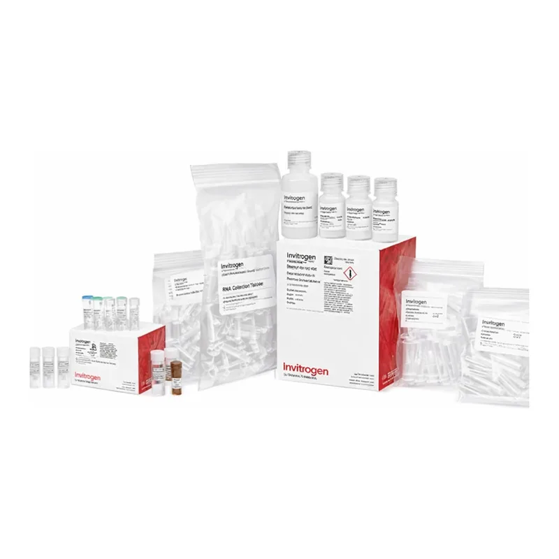 Thermo Fisher Scientific Amino Allyl MessageAmp II aRNA Amplification Kit