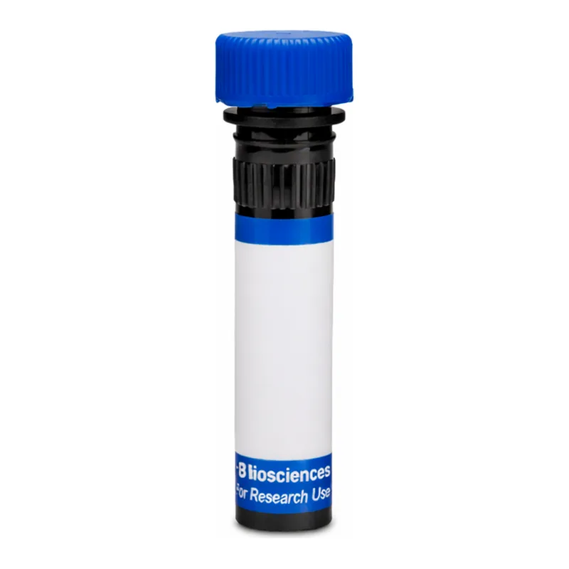 BD RB780 Mouse Anti-Human Delta-Like Protein 4