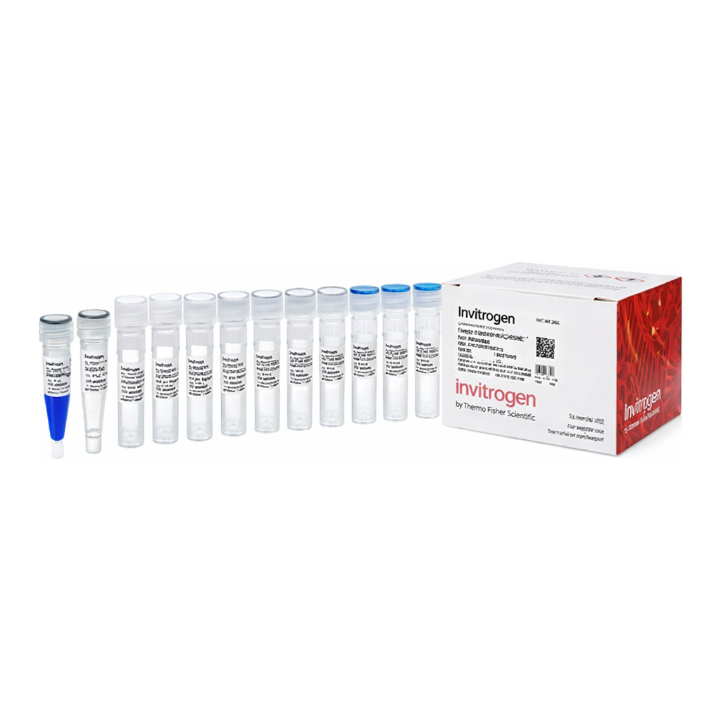 Thermo Fisher Scientific mMESSAGE mMACHINE T7 ULTRA Transcription Kit