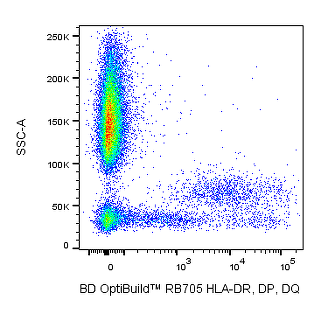 BD RB705 Mouse Anti-Human HLA-DR, DP, DQ