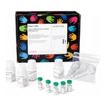 Thermo Fisher Scientific Imject Maleimide-Activated BSA Spin Kit