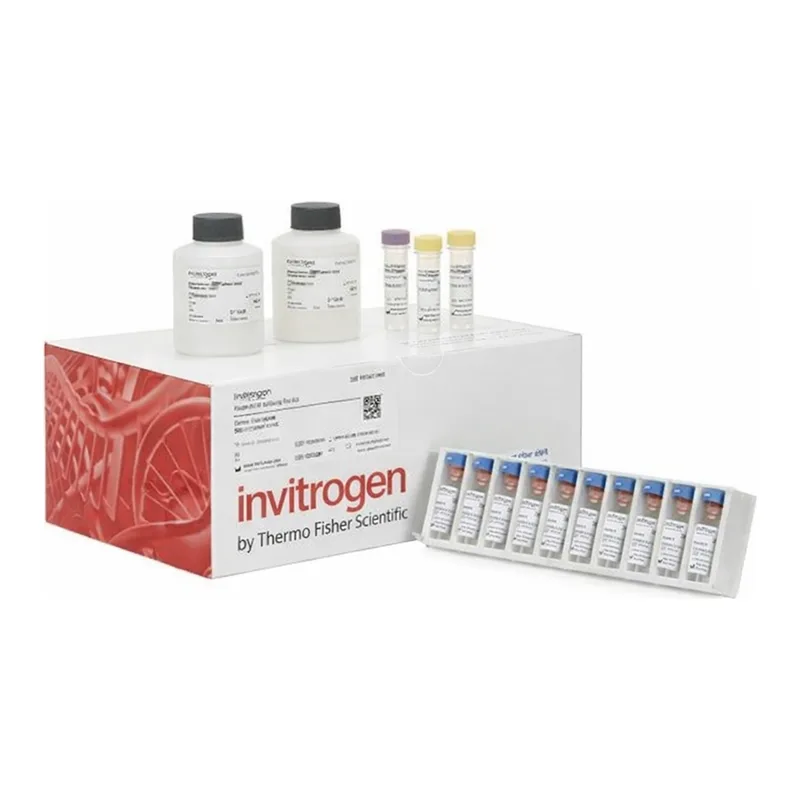 Thermo Fisher Scientific Human CD40L (Soluble) Matched Antibody Pair