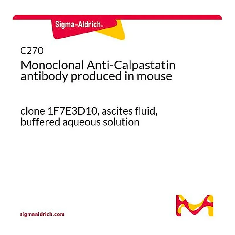 Merck Monoclonal Anti-Calpastatin antibody produced in mouse