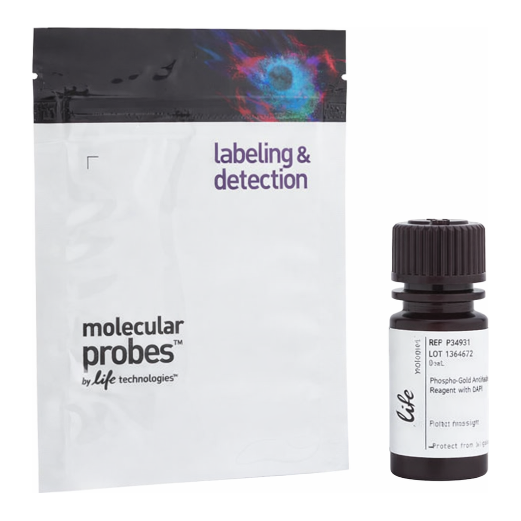 Thermo Fisher Scientific ProLong Gold Antifade Mountant with DNA Stains DAPI, 10 mL