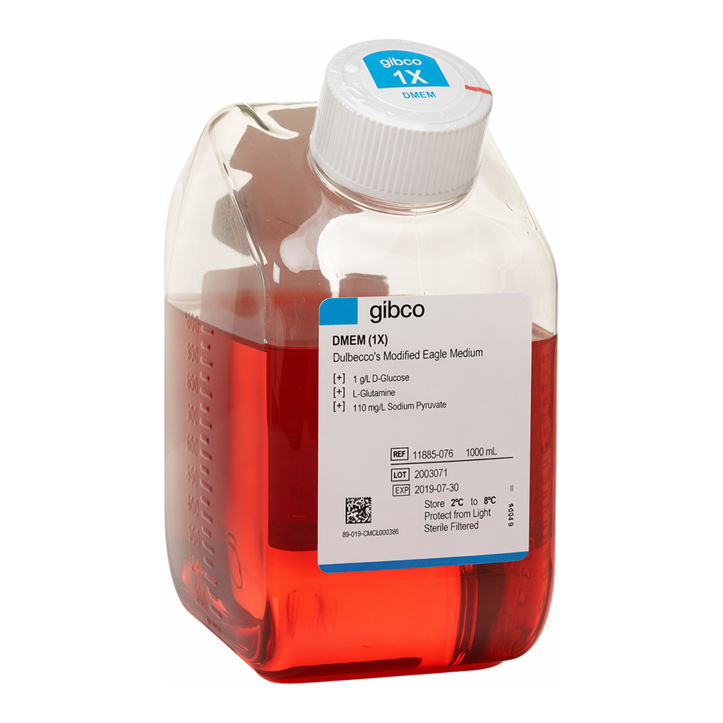 Thermo Fisher Scientific DMEM, low glucose, pyruvate, 1000 mL
