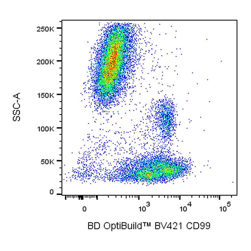 BD BV421 Mouse Anti-Human CD99