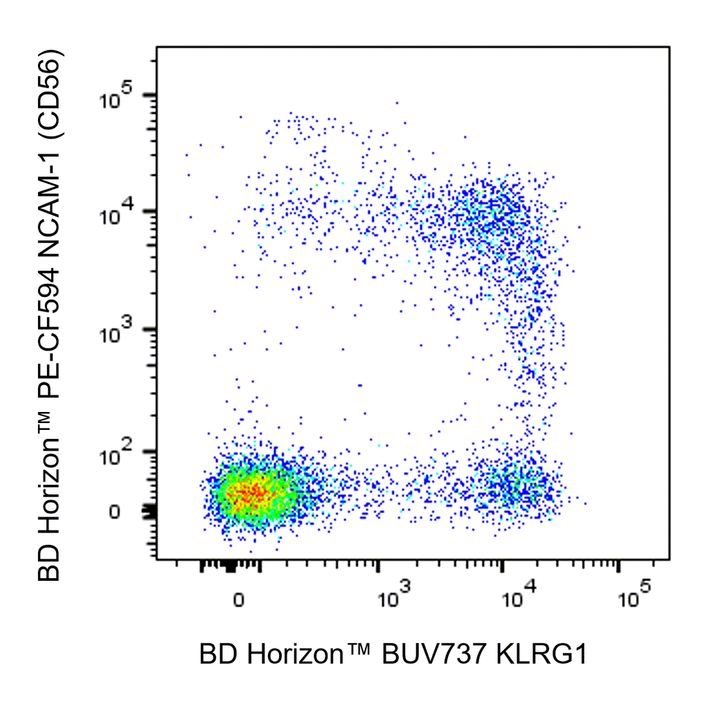 BD BUV737 Mouse Anti-Human KLRG1