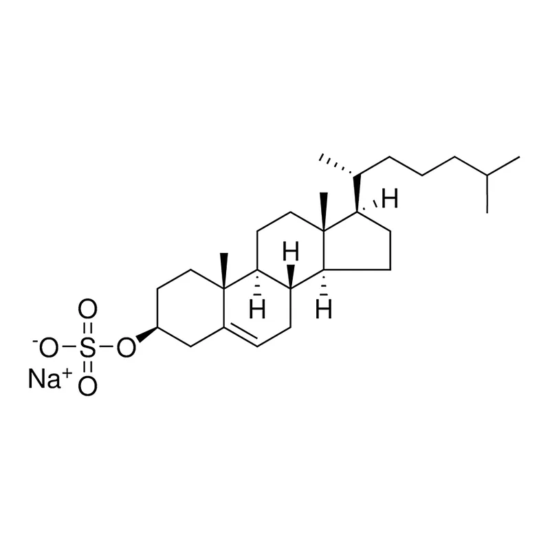 Merck cholesterol sulfate