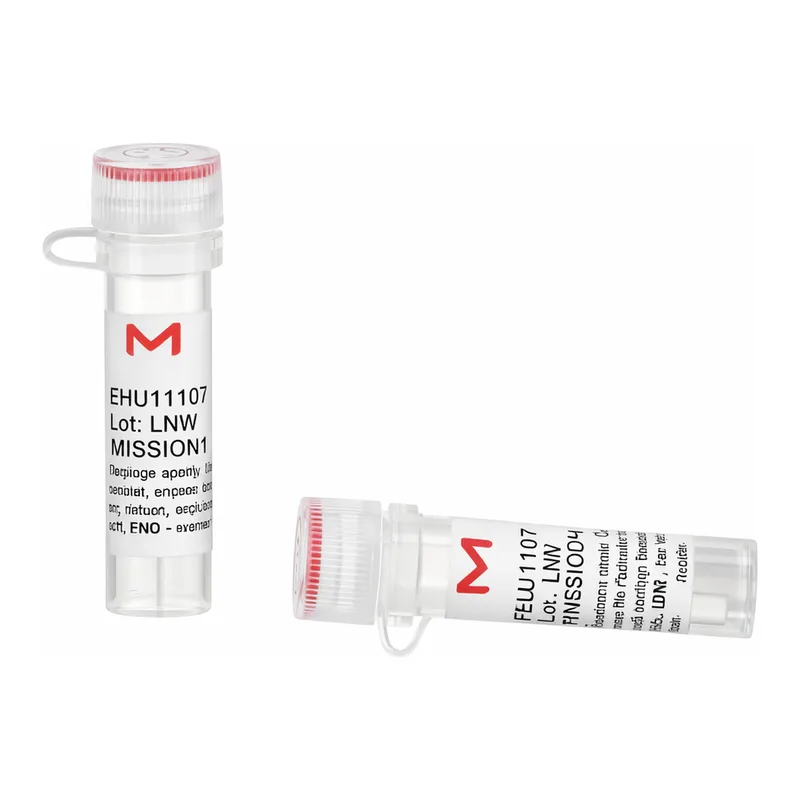 Merck ESIRNA HUMAN CASP4
