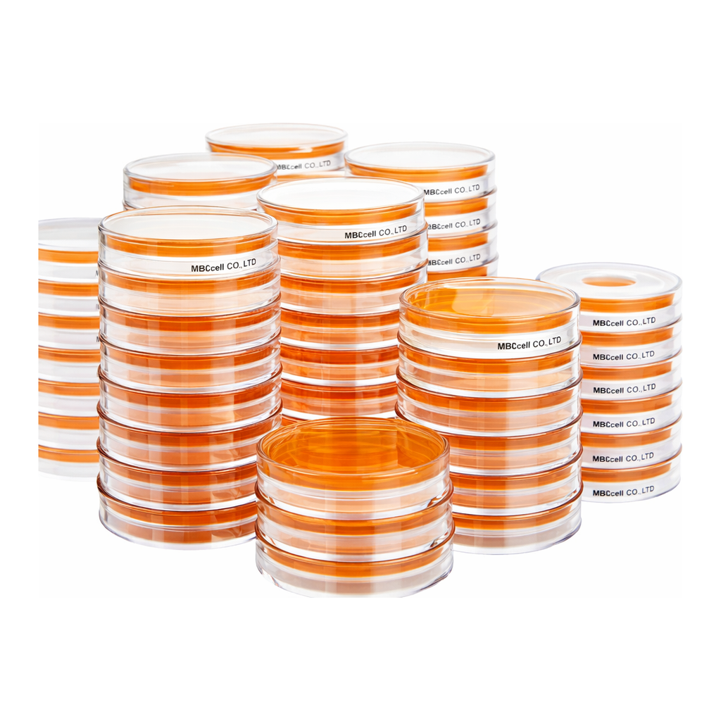 Kisanbio MBcell Mannitol Salt Agar Plate / MB-M1029P-P50