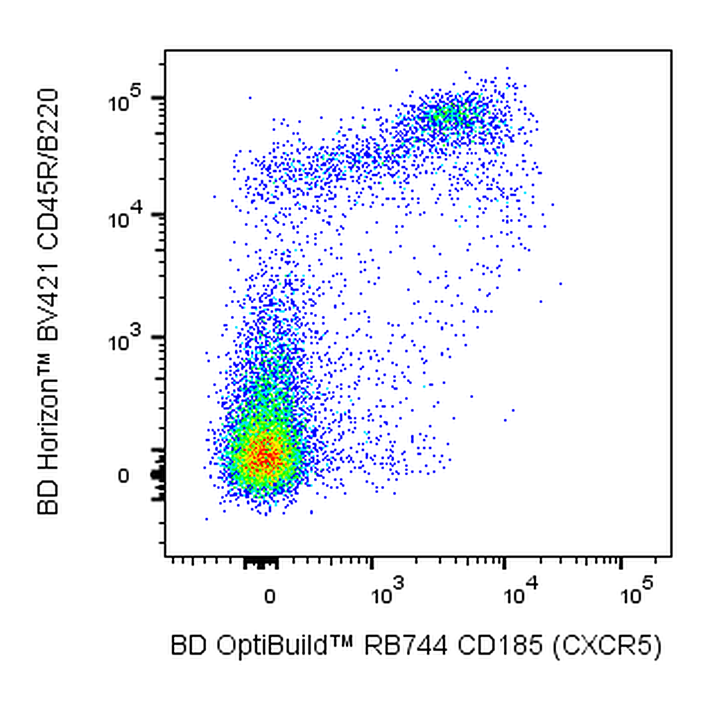 BD RB744 Rat Anti-Mouse CD185 (CXCR5)
