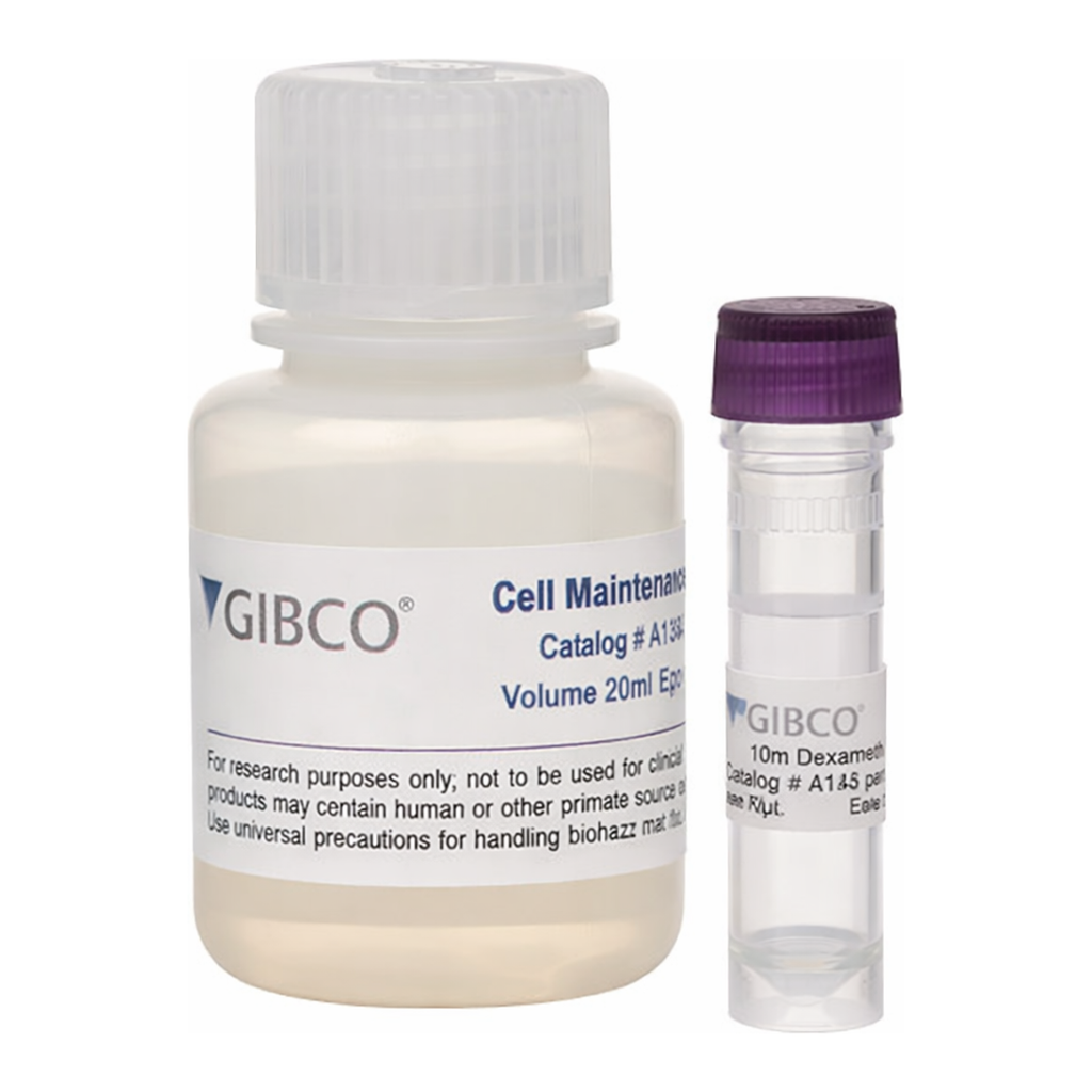 Thermo Fisher Scientific Primary Hepatocyte Maintenance Supplements