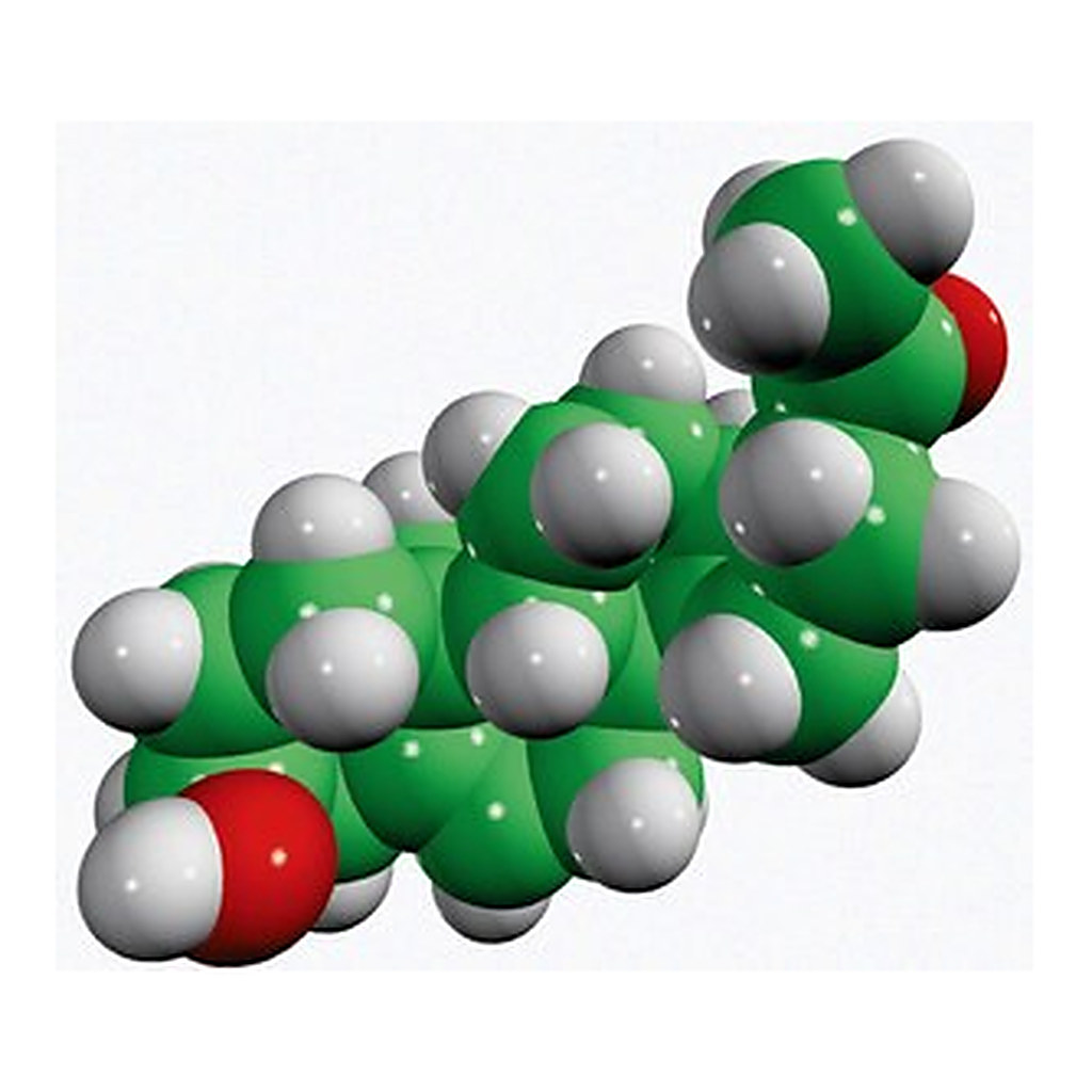 Merck PREGNENOLONE