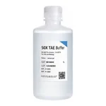 BANDIO TAE(Tris-Acetate-EDTA) Buffer