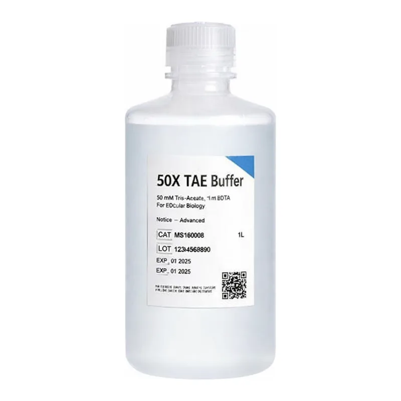 BANDIO TAE(Tris-Acetate-EDTA) Buffer