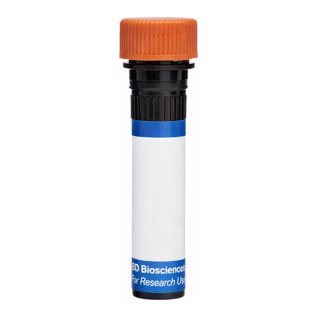 BD RB613 Mouse Anti-Rat CD25 (IL-2 Receptor α)