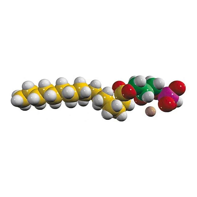 Merck 16:0 LPA (U-13C)