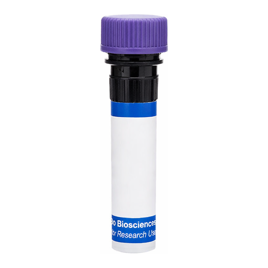 BD RB744 Mouse Anti-Human CD325 (N-Cadherin)