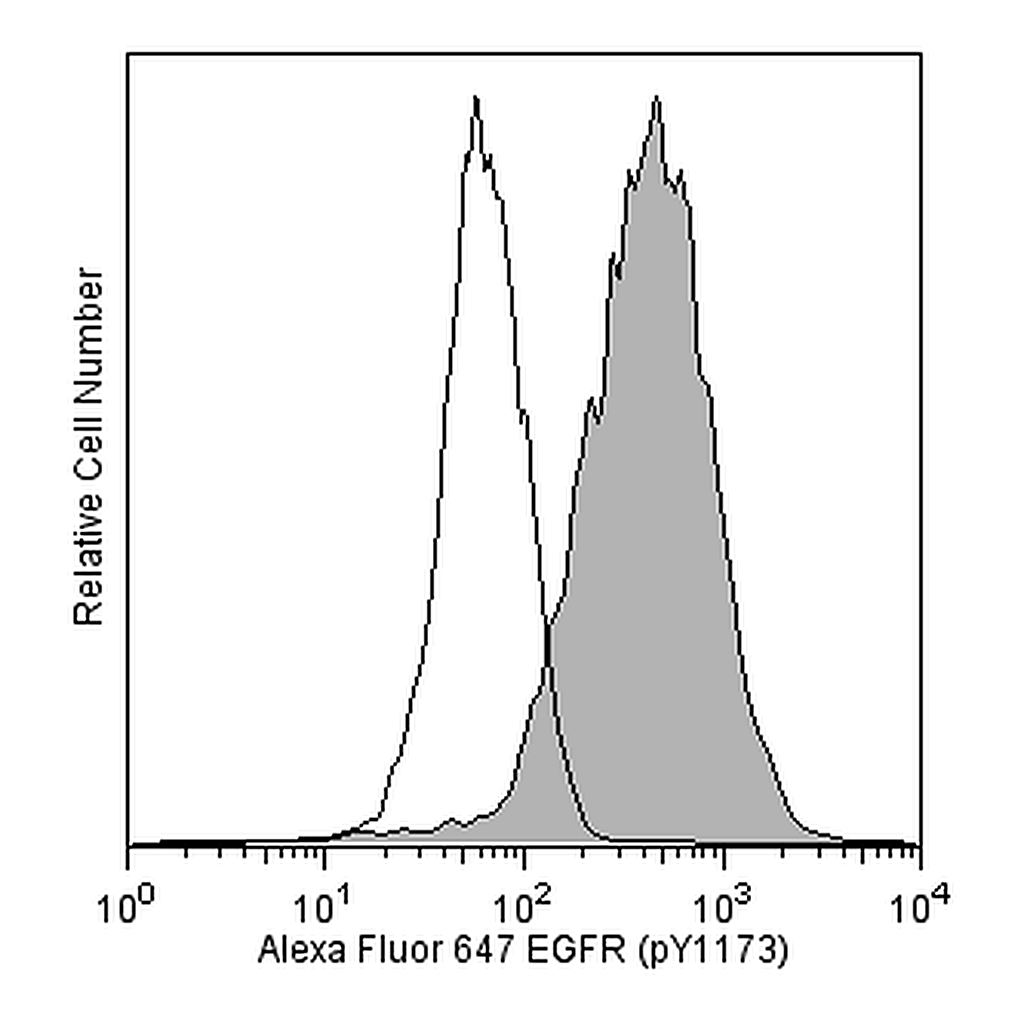 BD Alexa Fluor® 647 Mouse anti-EGF Receptor (pY1173)
