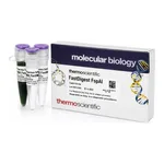 Thermo Fisher Scientific FastDigest FspAI