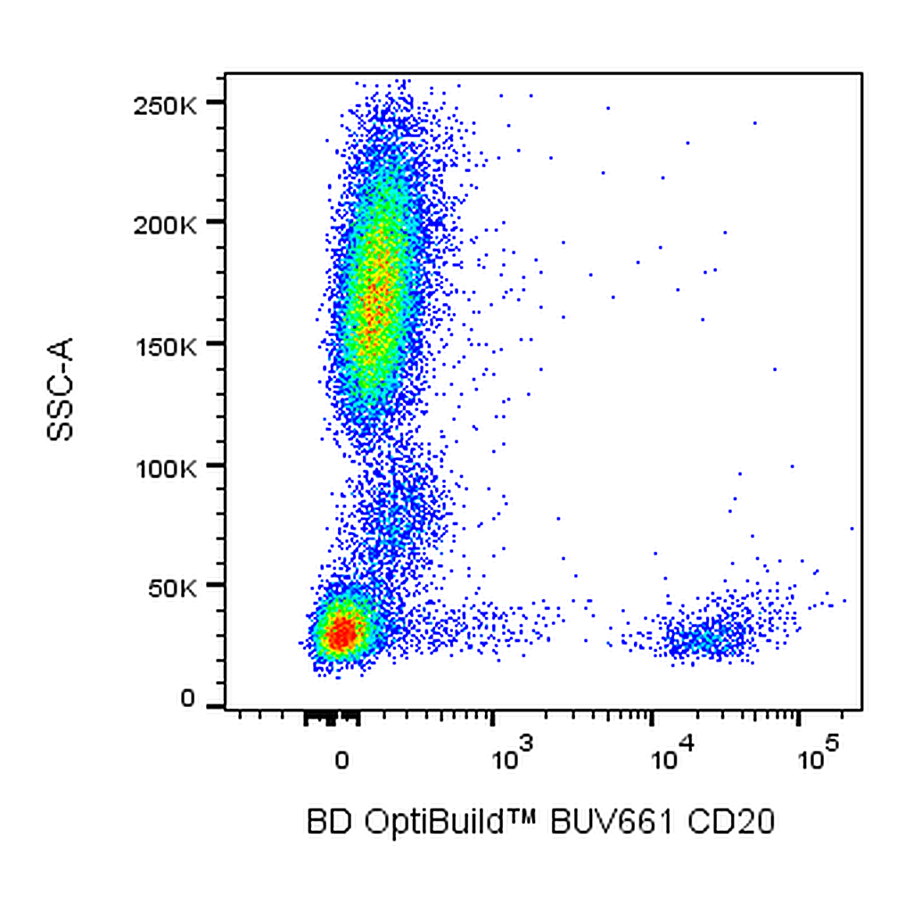 BD BUV661 Mouse Anti-Human CD20