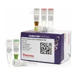Thermo Fisher Scientific Phusion Blood Direct PCR Master Mix, 500 reactions