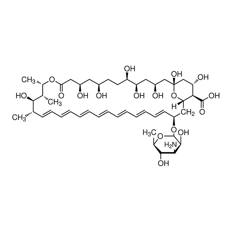 Merck Amphotericin B from Streptomyces sp.