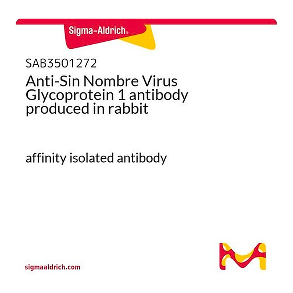 Merck Anti-Sin Nombre Virus Glycoprotein 1 antibody produced in rabbit