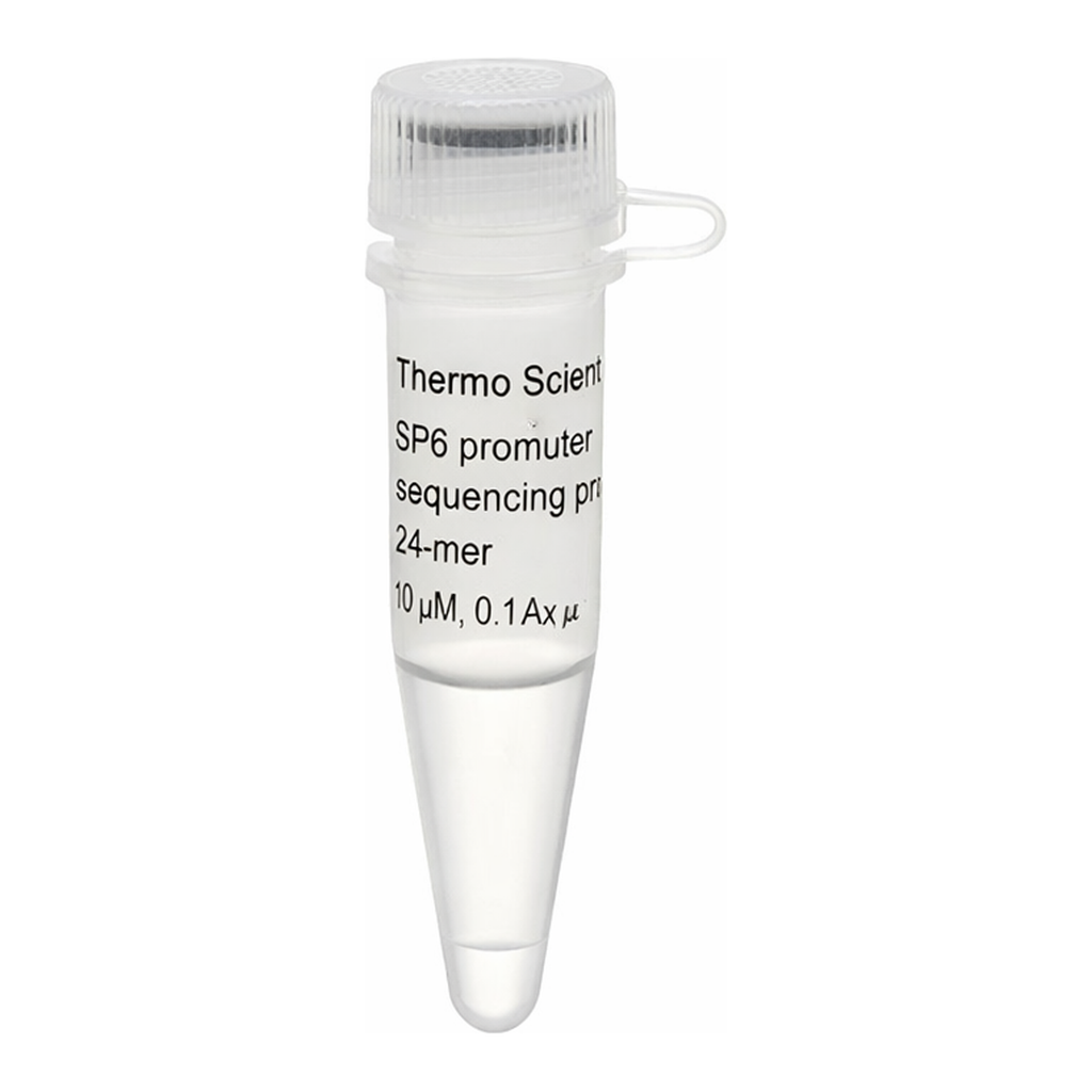 Thermo Fisher Scientific SP6 promoter Sequencing Primer, 24-mer
