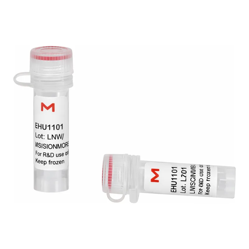 Merck ESIRNA HUMAN PRKDC