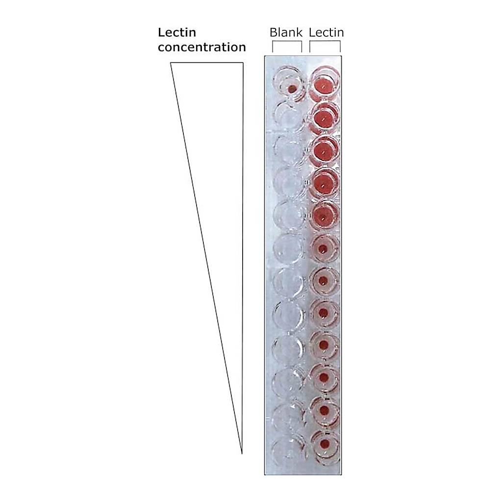 Merck LECTIN FROM TRITICUM VULGARIS