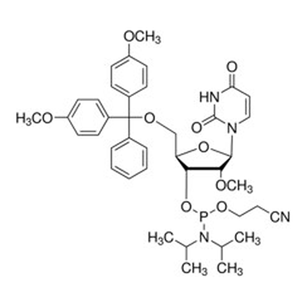 Merck DMT-2``O-ME-RU AMIDITE 0.5G, 89, SINGLE
