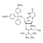 Merck DMT-2``O-ME-RU AMIDITE 0.5G, 89, SINGLE