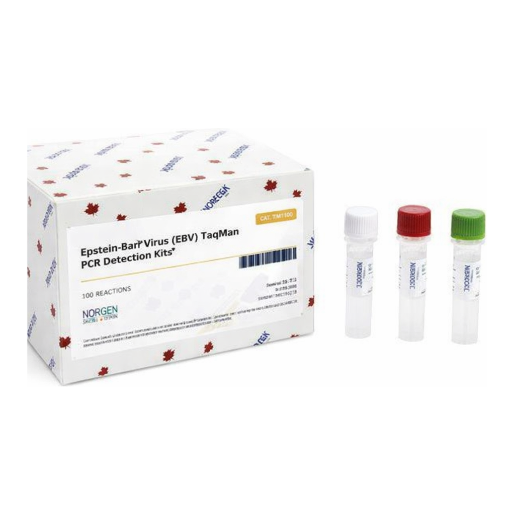 Norgen Epstein-Barr Virus (EBV) TaqMan PCR Detection Kits