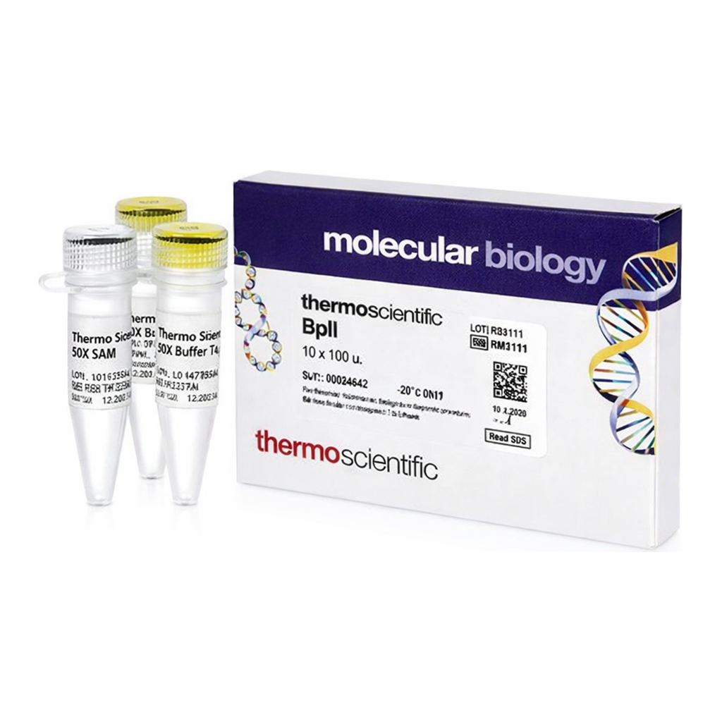 Thermo Fisher Scientific BplI (5 U/&mu;L), 100 units