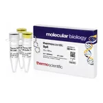 Thermo Fisher Scientific BplI (5 U/μL), 100 units