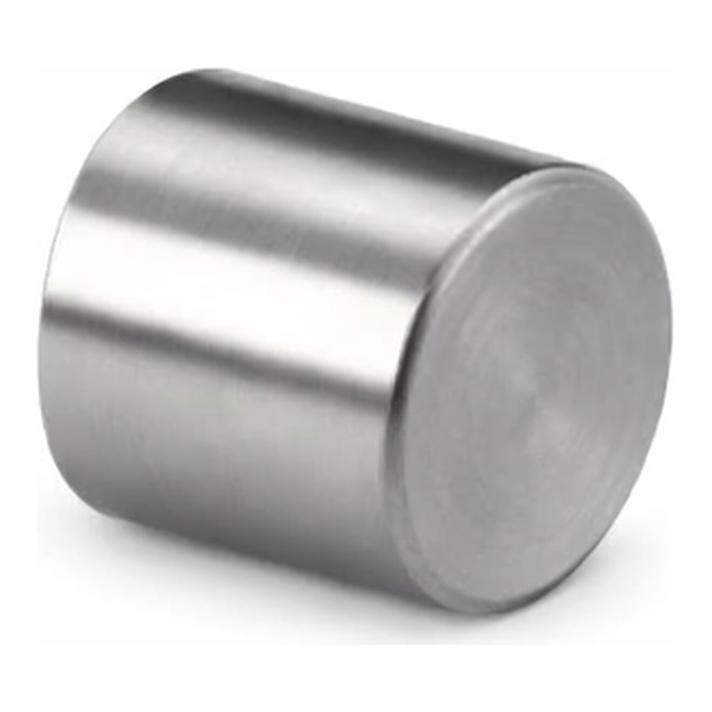 Waters SunFire Silica Prep Guard Cartridge, 100Å, 5 µm, 10 mm X 10 mm, 1/pk