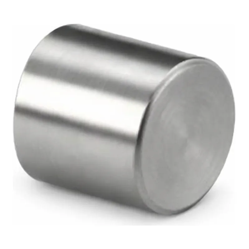 Waters SunFire Silica Prep Guard Cartridge, 100Å, 5 µm, 10 mm X 10 mm, 1/pk