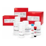 Merck XANTHINE OXIDASE ACTIVITY ASSAY KIT