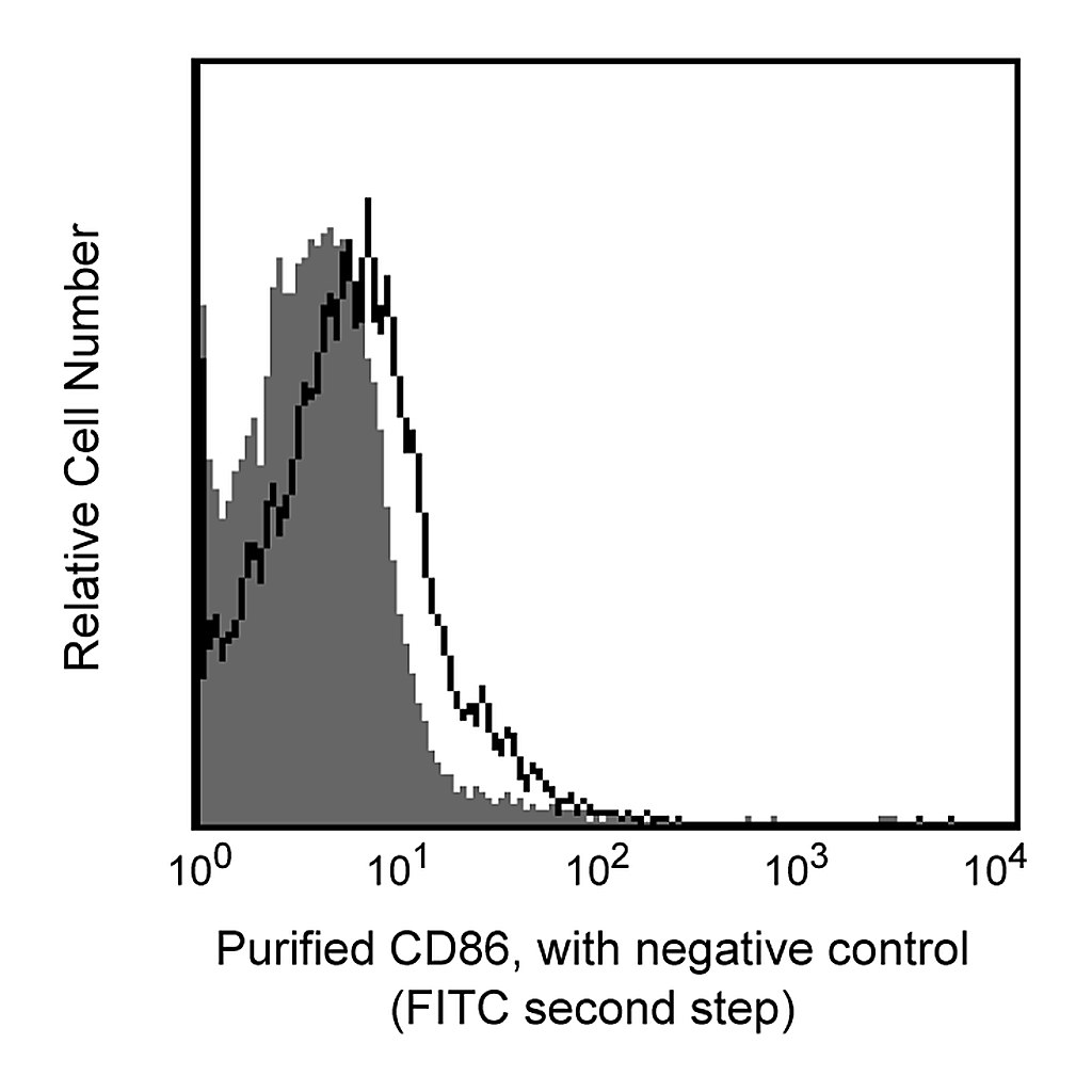 BD Purified Rat Anti-Mouse CD86