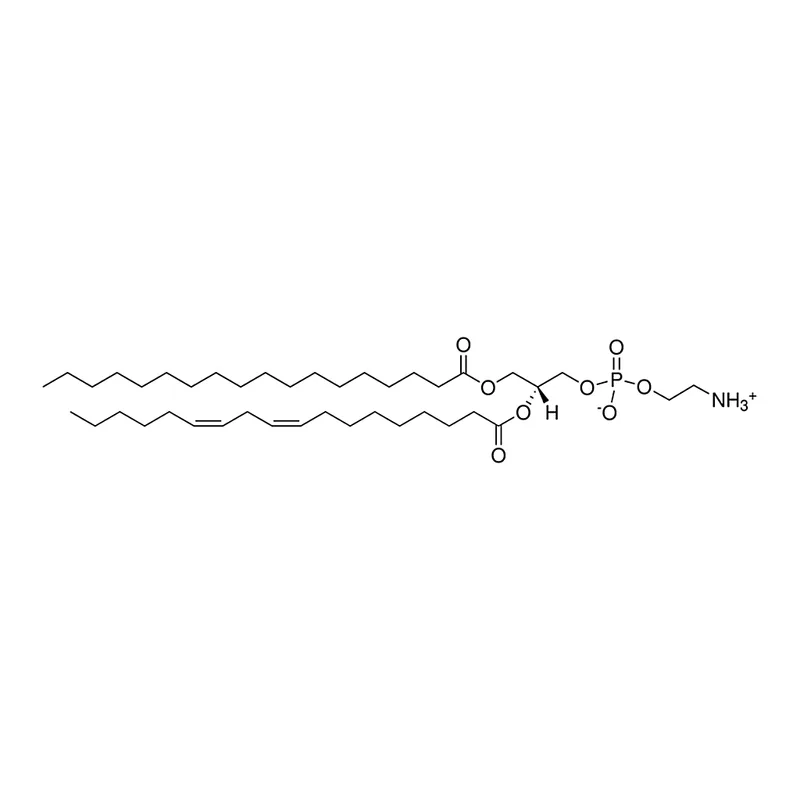 Merck Egg PE