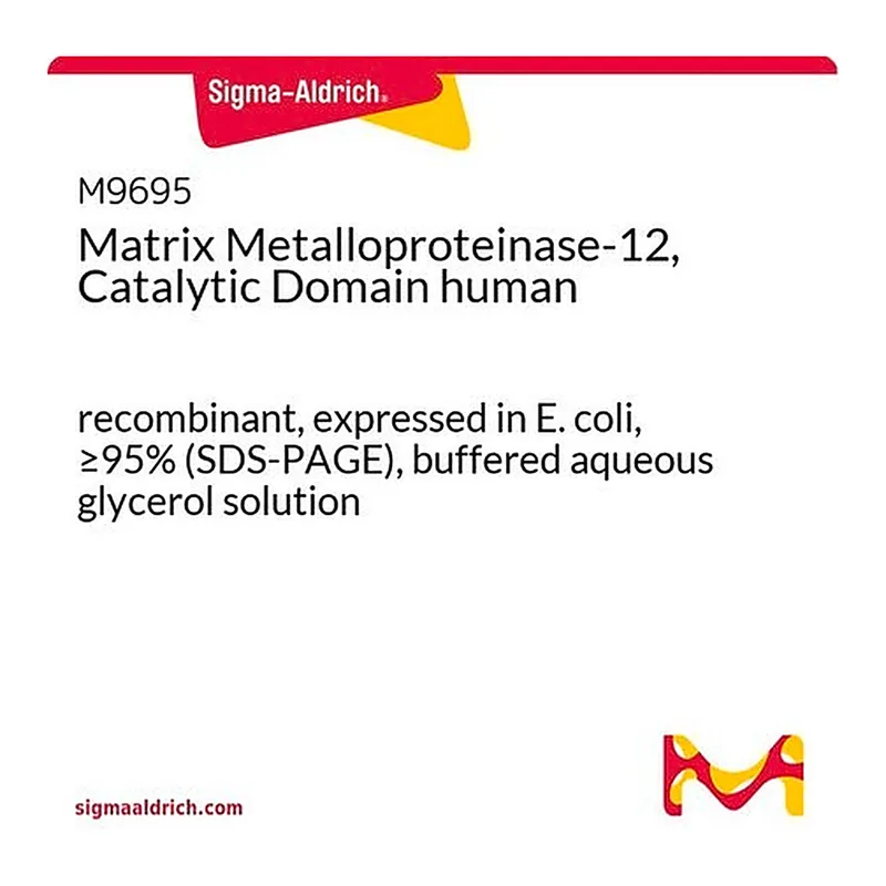 Merck Matrix Metalloproteinase-12, Catalytic Domain human