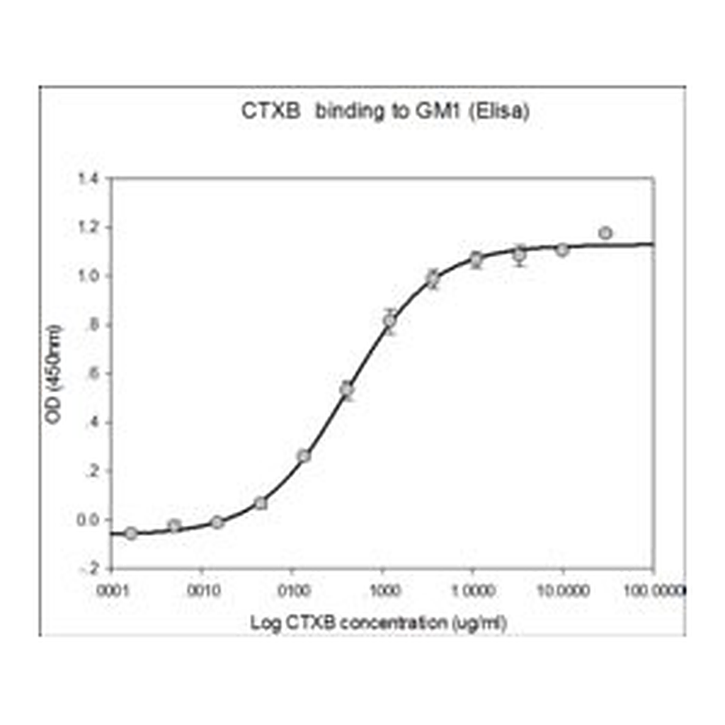 Merck CHOLERA TOXIN B SUBUNIT
