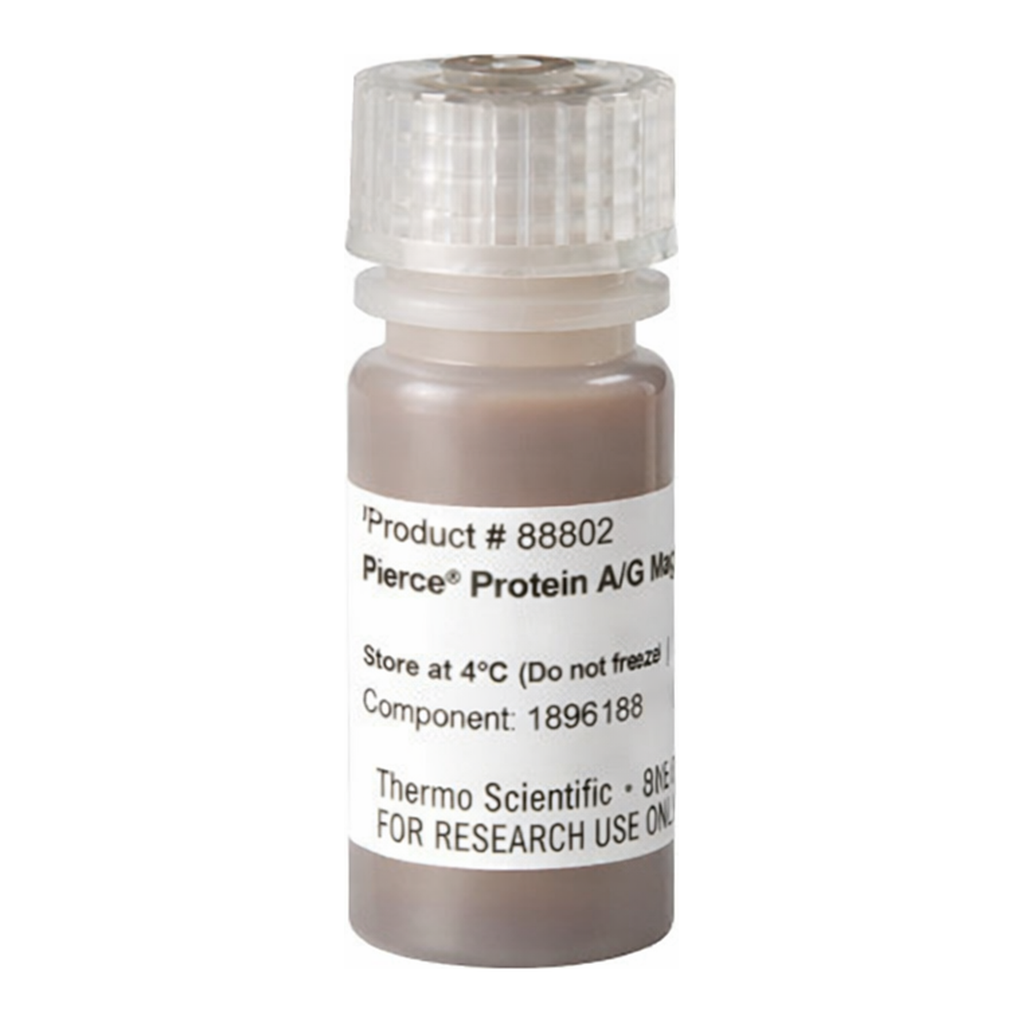 Thermo Fisher Scientific Pierce Protein A/G Magnetic Beads, 1 mL